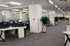 办公室养什么花招财旺人 君子兰雅观大气