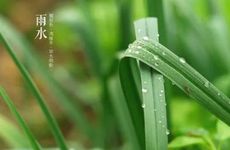 谷雨的传说故事 谷雨的故事以及传说