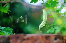 天生媚骨善于勾人心魄的星座女