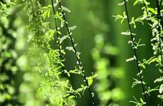 哪些小动作容易导致你漏财