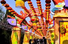 为什么农历正月是虎月 每年正月都是虎月吗