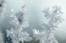 梦见自己的钱被别人抢走