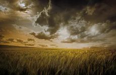 立秋一起贴秋膘吃什么