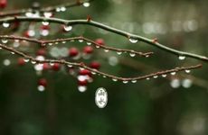 雨水节气拉保保是什么意思 雨水这个节气的含义