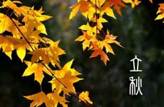 立秋节气的民俗和养生食物