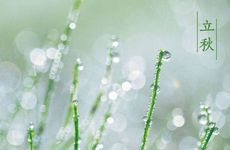 87年的火兔戴真金还是白银好看