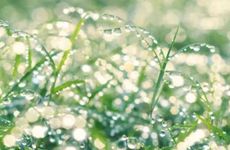 24节气白露由来 二十四节气白露节气介绍