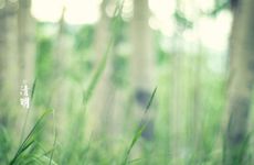 嘉绒藏族清明节的习俗是什么