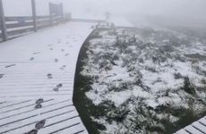 2021年小雪订婚好吗？订婚日子有什么讲究？