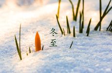 梦见抬棺材出殡是什么意思