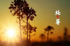 梦到自己掉落一把头发