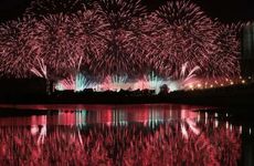 梦见头发变白是什么意思