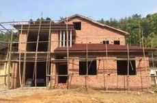 2023年砍伐树木吉日查询 2023年吉日砍树动土