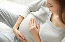 孕妇梦见狗熊是什么意思 是不是隐含着宝宝健康