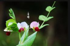 本命佛分男女款吗  男戴观音女戴佛并不可信