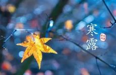 2023年10月8号开业好吗 农历八月二十二寒露是黄道吉日吗