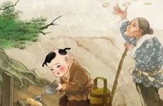 2023年三伏天是公伏还是母伏