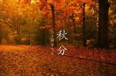 秋分节气吃什么传统美食 秋分节气养生要点