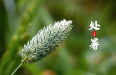 从周日开始 喜迎好福气 有成就感 会更快乐的四大星座