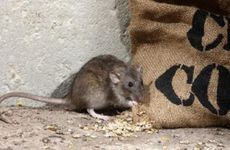 符号多的男生网名超拽