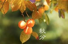 2024感情面临很大危机的星座