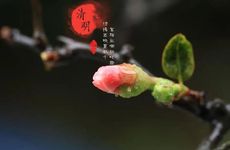 是超级英雄电影死忠粉的星座