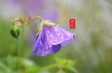 电磁煞如何化解