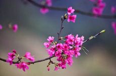 梦见游泳池是什么预兆