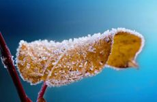 怎么判断阳庙还是阴庙？庙前穷庙后富示意图