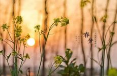 7月11日是什么星座