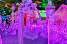 2024年元宵节最佳赏月时间 月亮什么时候最圆