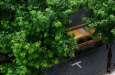 梦见大主教 教皇怎么回事 梦见大主教 教皇有什么预兆