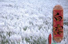 白露节气的民间习俗及传统食物