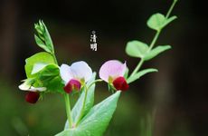 女生微博个性网名