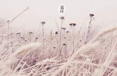 应变能力强的生肖女 化解尴尬高手的星座