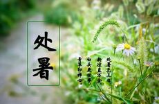 开扒一下传说中最滥情的血型男