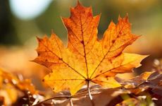 7不出门8不回家迷信吗 为什么会有这种说法