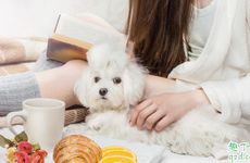 梦到龙不能告诉别人 梦到龙不能告诉别人为什么是什么预兆