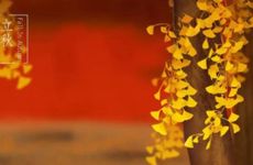 生意兴隆滚滚金币如涨潮的四大生肖