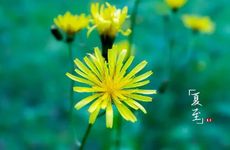 2022年夏至是几月几号 6月21日17点13分40秒