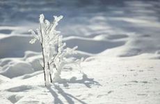 大年初一几点开财门好 大年初一开财门吉时是几点