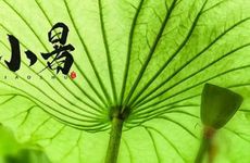 2022年7月7日小暑五行穿衣配色 本日吉利色彩搭配