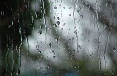 2021牛年和2022年虎年孩子哪年孩子最好