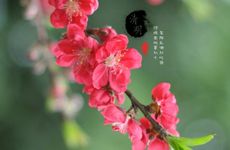 家中财位的位置找财位及确定