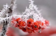 2022年霜降出生大运 得贵人提携则财富稳定富足