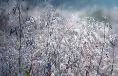 2023孟兰盆节是什么时候 2023孟兰盆节是几月几日