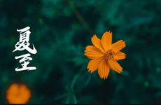 关于夏至的经典诗句 夏至节气的美好诗词