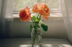 已婚妇女梦见自己马上要结婚