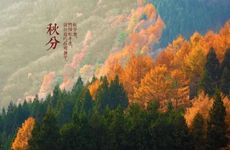 2023年年秋分唯美文案句子（100句）