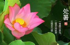 2023年处暑过后是不是就不热了